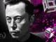MASK Price Crashes 40% as Trump-Elon Musk Fallout Sours Retail Sentiment