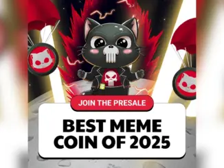 punisher-coin-presale (1)