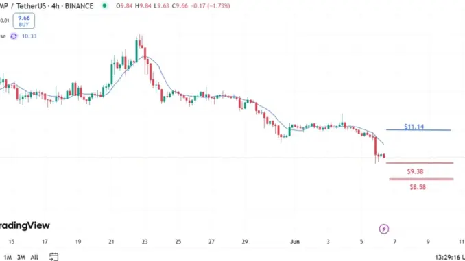 Trump Coin & Tesla Stock Crash Big Amid Elon Musk & Donald Trump Feud: Here’s What’s Next!