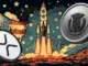 xrp-mutuum-finance