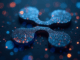 Ripple XRP Price Drops But Holds Above $2