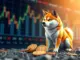 Dogecoin continues to drop despite Musk’s tweet