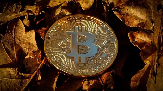 Elon Musk’s SpaceX Moves Bitcoin Holdings For The First Time In 3 Years, Here’s Where It Went