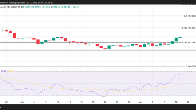 DOGE Price Analysis.