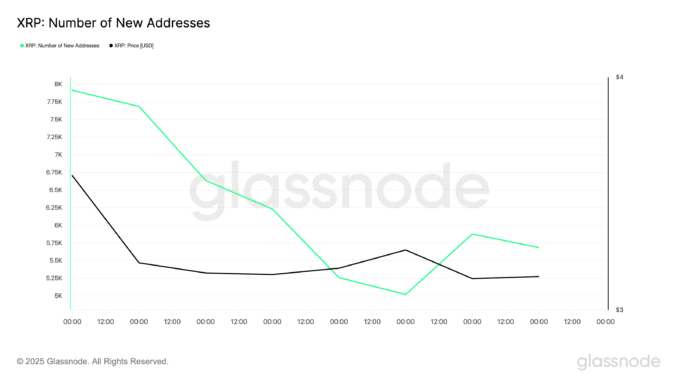 XRP Number of New Addresses.