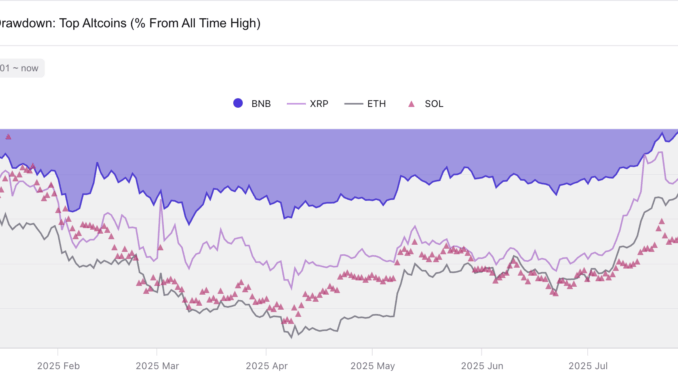 BNB price and drawdown