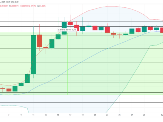 XPR Price Analysis.