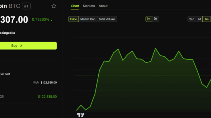 Bitcoin (BTC) Price Performance