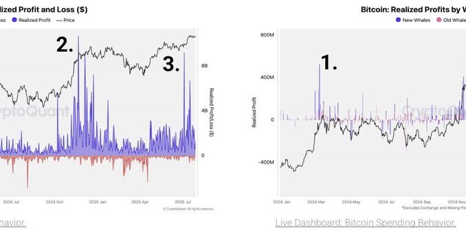 Bitcoin just saw its third major profit-taking wave of this bull run. Source: CryptoQuant