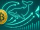 Bitcoin Whale Turns To Ethereum: Driving $3.5B In Crypto Transactions