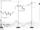 Bitcoin RSI Analysis. Source: Ali