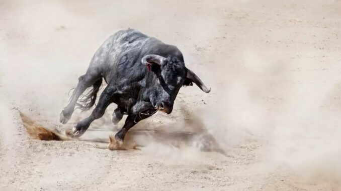 crypto