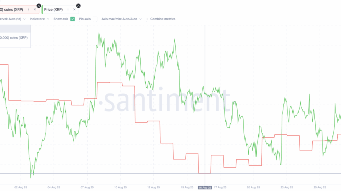 XRP Whales Keep Buying