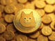 Dogecoin DOGE Symbol