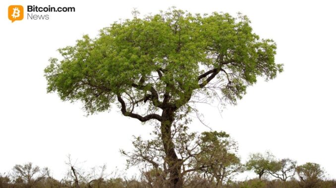 Digital Asset Solutions Firm Completes Australia’s First Tokenized Government Bond Investment