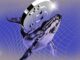 MicroStrategy Surprisingly Pauses Bitcoin Purchase – But Why?