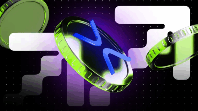 Three Metrics Show XRP Price Is Done Falling – Here’s Why