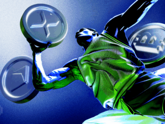 Will the XRP ETF Launch on November 13?