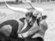 Analyst Says The Bull Run Isn’t Over