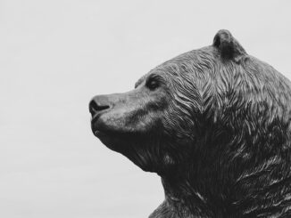 Analyst Shares Worst-Case Scenario Amid Bearish Signs