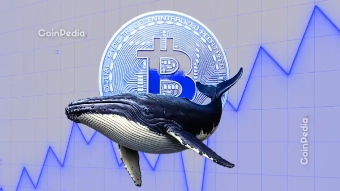 Bitcoin Price Crash Ahead? Satoshi-Era Whale Dumps 12,000 BTC