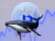 Bitcoin Price Crash Ahead? Satoshi-Era Whale Dumps 12,000 BTC