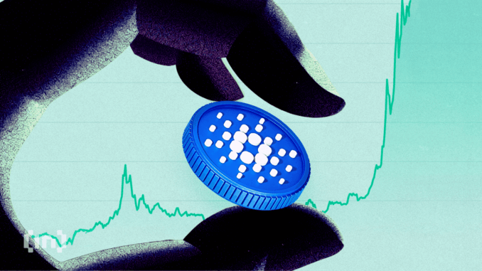 Cardano Whale Holdings Hit 5-Month High Despite Price Dip