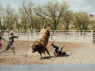 $748 Million Bitcoin Buying Spree Sparks Bullish Momentum