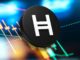 Hedera Price