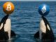 Long-dormant ETH wallet and major BTC holders move funds before Fed meeting