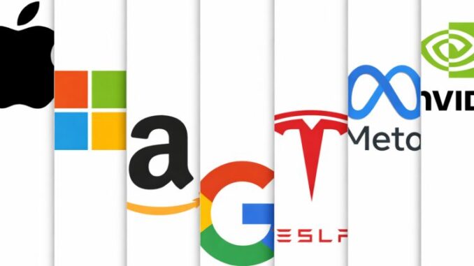 S&P 500's top 7 stocks account for 26% of earnings, reflecting historic concentration