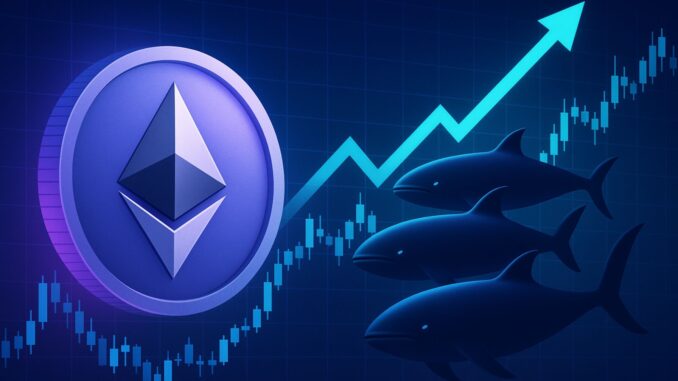 Top Performers Go All-In On Ethereum Long Positions With Over $425M in Exposure