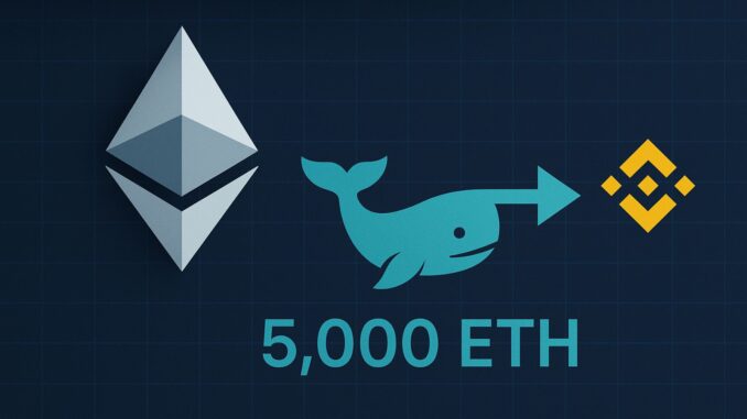 Whale Sends Another 5,000 ETH To Binance