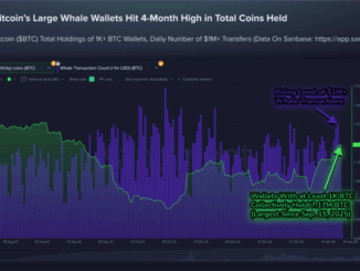 104K BTC Added As $1M Transfers Surge