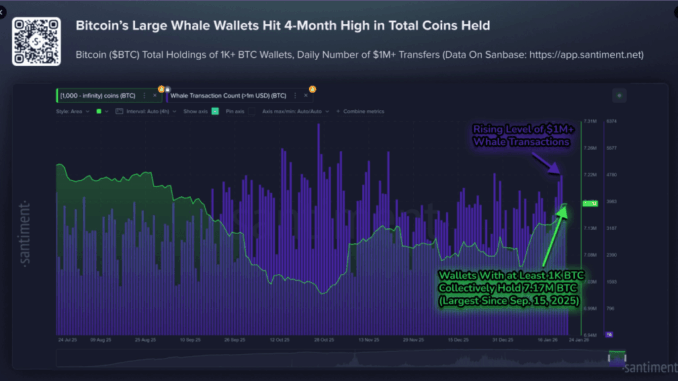 104K BTC Added As $1M Transfers Surge