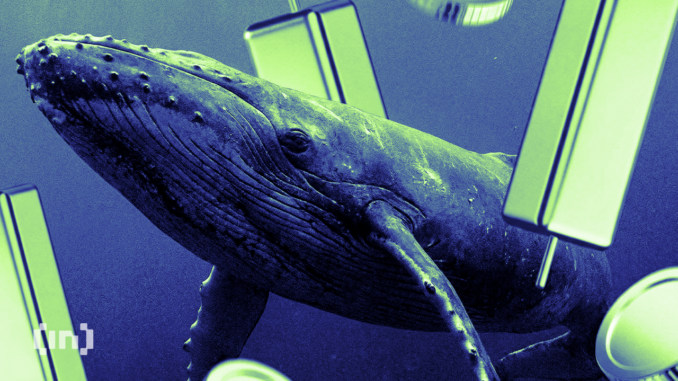 3 Altcoins Crypto Whales are Buying For February 2026