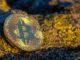 Analyst Outlines The Bulllish And Bearish Scenarios For Bitcoin