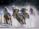 Gold, Stocks Ran Ahead, But Bitcoin May Close The Gap In 2026