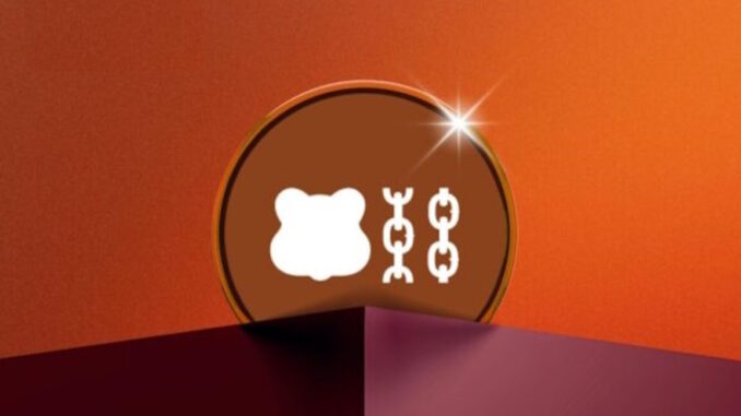 Why is Berachain price rising