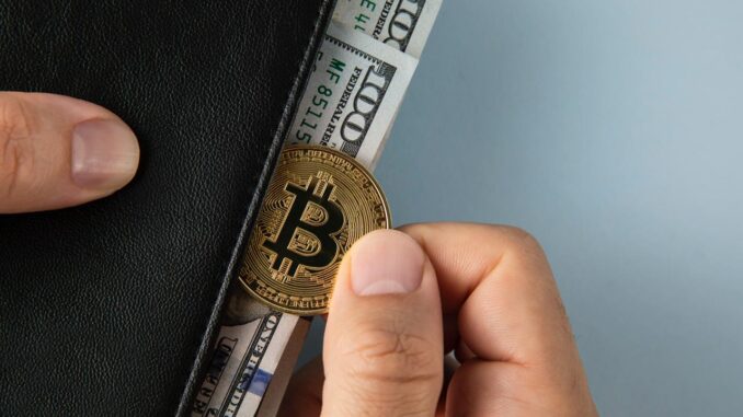 Bitcoin LTH Supply Rises Again Amid Bearish Market Dynamics