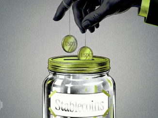 Circle Stock Dips 80% Despite USDC Boom