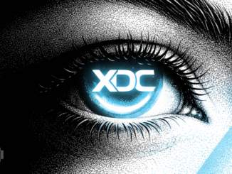 VERT Tokenizes Mottu and Banco Pine on XDC Network