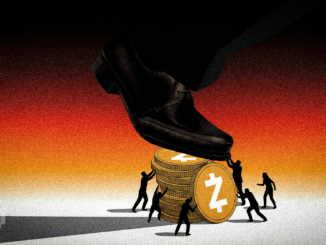 Zcash Price Could Slide to $200 as Trading Activity Drops 70%