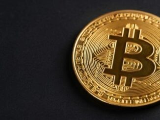 Elon Musk animates Bitcoin waifu after viral fan art request