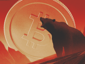 VanEck CEO Explains Why Bitcoin Could Be Reaching a Bottom
