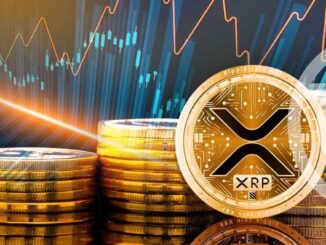 XRP investment