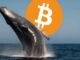 Bitcoin flirts with $72K while a whale bets $80M it won’t last