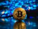 Bitcoin ‘Sharks’ Silently Accumulate Amid Market Uncertainty — Details