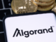 Algorand price forecast