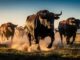 Bitcoin Bulls Awaken As Rare Golden Cross Signal Flashes On Charts